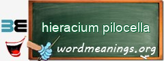 WordMeaning blackboard for hieracium pilocella